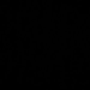 Meet your Posher, Latisha